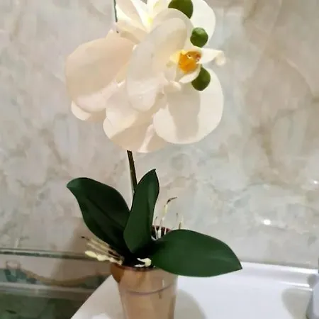 Lovely Apartment, Free Parking And Great Location Apartamento
